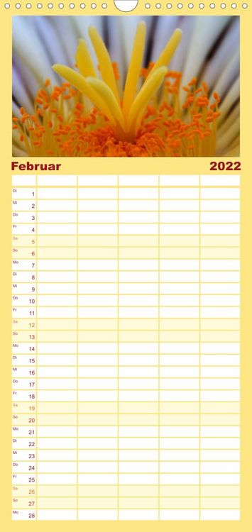 Produktbild: Bl&uuml;tensymphonie - Kakteen und Sukkulenten - Familienplaner hoch (Wandkalender 2022 , 21 cm x 45 cm, hoch)