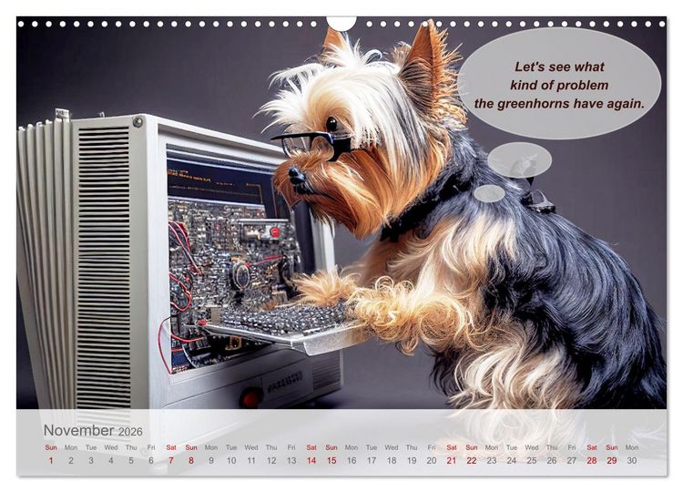 Produktbild: You really think you are an IT expert (Wall Calendar 2026 DIN A3 landscape), CALVENDO 12 Month Wall Calendar