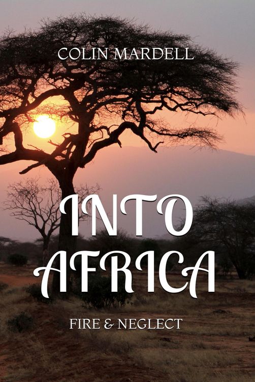Produktbild: Into Africa