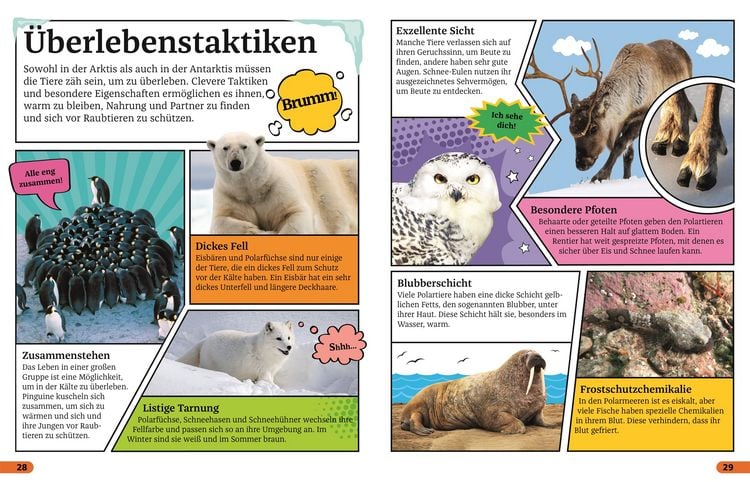 Produktbild: Superchecker! Arktis und Antarktis