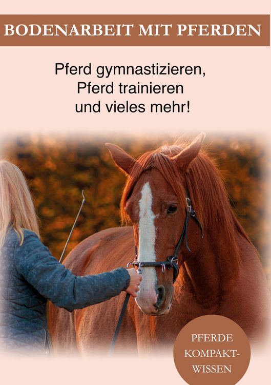 Produktbild: Bodenarbeit Pferd