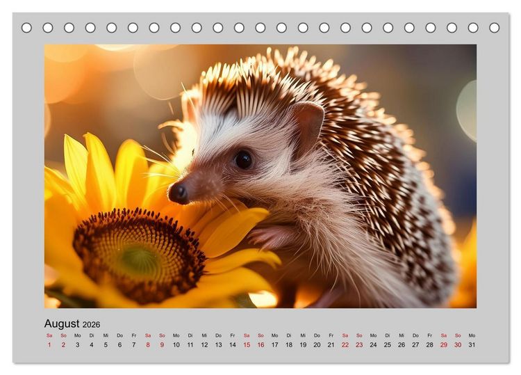 Produktbild: Mein Igel-Kalender (Tischkalender 2026 DIN A5 quer), CALVENDO Monatskalender