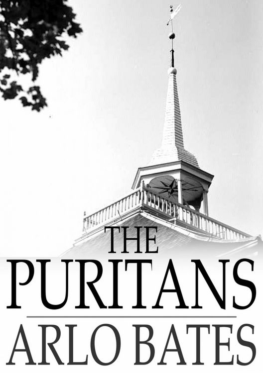 Produktbild: Puritans