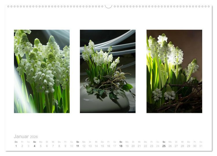 Produktbild: Blumen Trilogien (hochwertiger Premium Wandkalender 2026 DIN A2 quer), Kunstdruck in Hochglanz