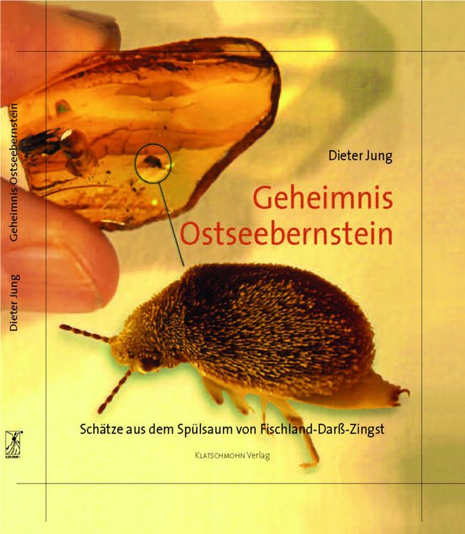 Produktbild: Geheimnis Ostseebernstein