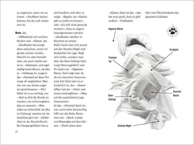 Produktbild: Wie wir Katzen die Welt sehen