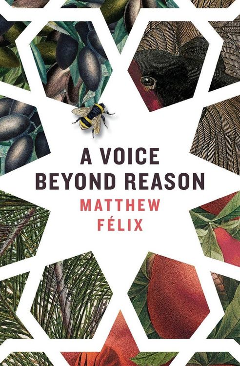 Produktbild: A Voice Beyond Reason