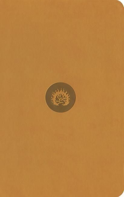 Produktbild: ESV Reformation Study Bible, Student Edition - Marigold, Leather-Like
