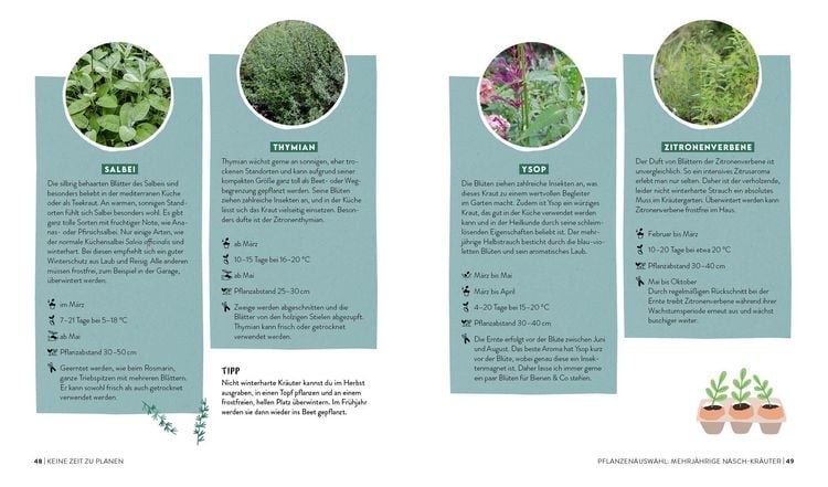 Produktbild: Keine Zeit zu g&auml;rtnern &ndash;&nbsp;Easy Erntegl&uuml;ck mit wenig Aufwand
