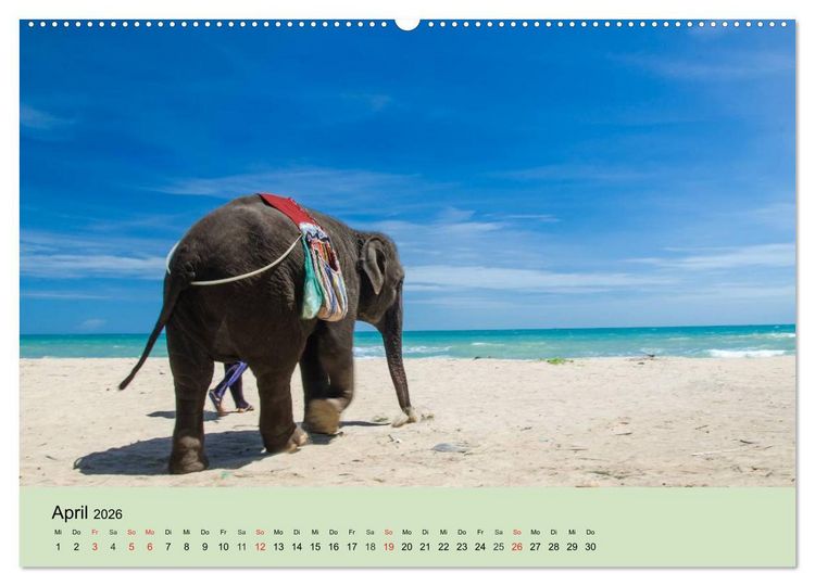 Produktbild: Elefanten. Badespa&szlig; am Strand (Wandkalender 2026 DIN A2 quer), CALVENDO Monatskalender