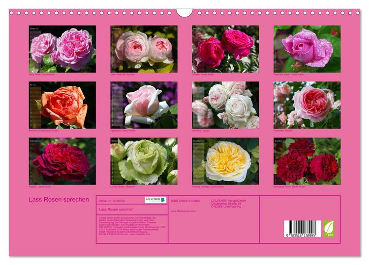 Produktbild: Lass Rosen sprechen (Wandkalender 2026 DIN A3 quer), CALVENDO Monatskalender