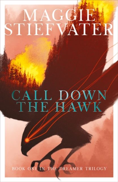 Produktbild: The Dreamer Trilogy 1. Call Down the Hawk
