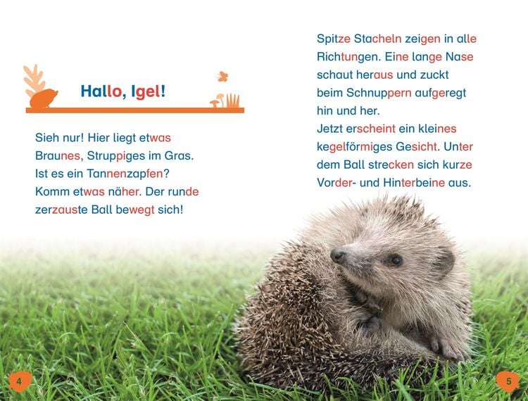 Produktbild: Superleser! Hallo, Igel!