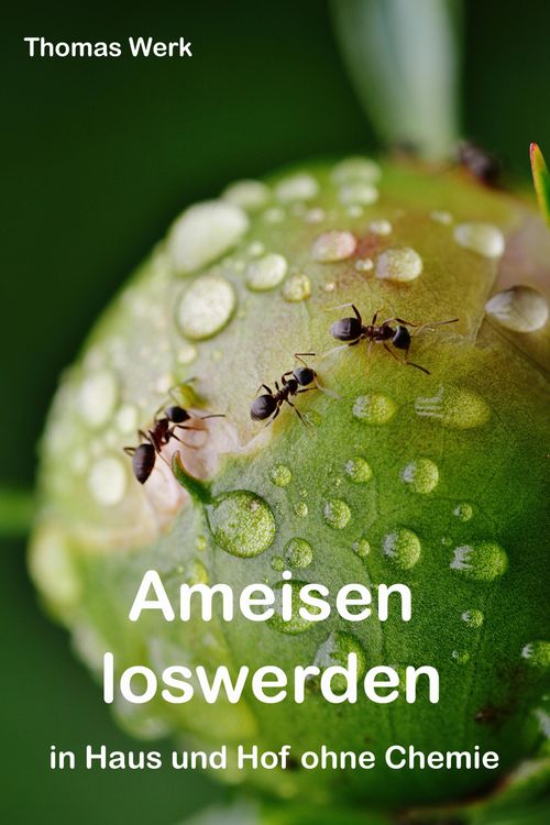 Produktbild: Ameisen loswerden