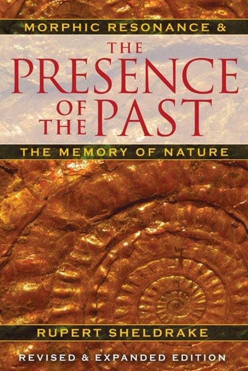 Produktbild: The Presence of the Past