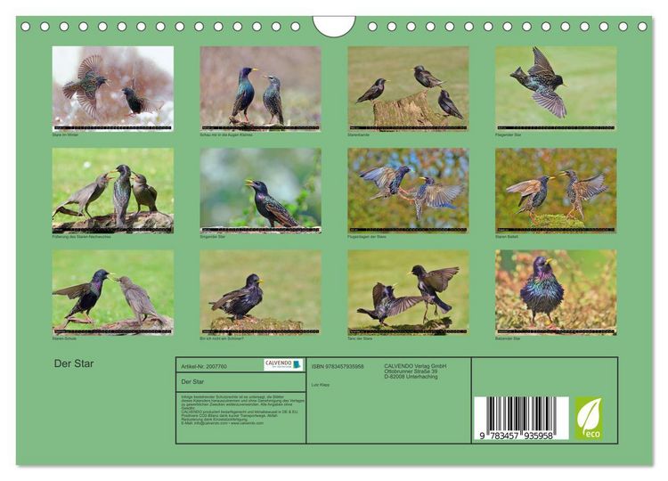 Produktbild: Der Star (Wandkalender 2026 DIN A4 quer), CALVENDO Monatskalender
