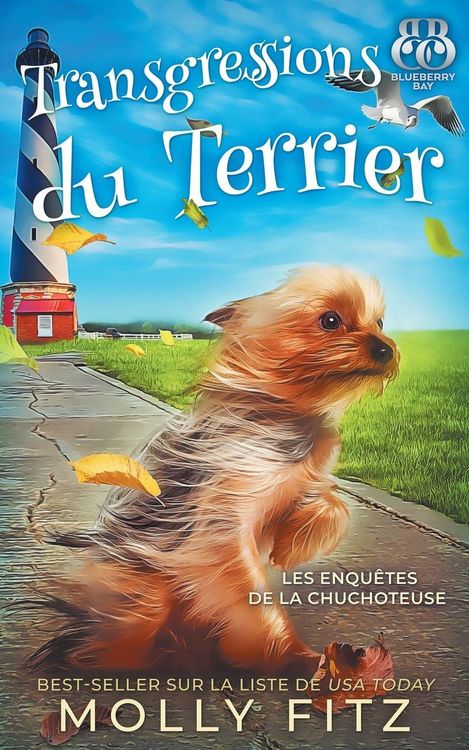 Produktbild: Transgressions du Terrier
