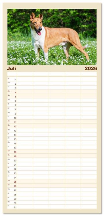 Produktbild: Familienplaner 2026 - Ein Freund f&uuml;rs Leben - Smooth Collie mit 5 Spalten (Wandkalender, 21 x 45 cm) CALVENDO