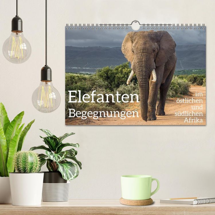 Produktbild: Elefanten Begegnungen im &ouml;stlichen und s&uuml;dlichen Afrika (Wandkalender 2026 DIN A4 quer), CALVENDO Monatskalender