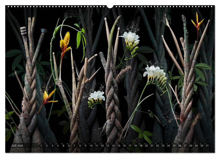 Produktbild: Musica fant&aacute;sia - Die wundersame Welt des Fotok&uuml;nstlers Olaf Bruhn (Wandkalender 2026 DIN A2 quer), CALVENDO Monatskalender