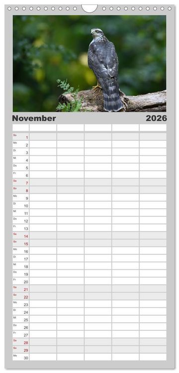 Produktbild: Familienplaner 2026 - V&ouml;gel, Gefiederte Sch&ouml;nheiten mit 5 Spalten (Wandkalender, 21 x 45 cm) CALVENDO
