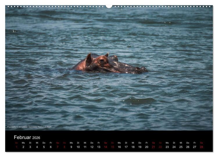 Produktbild: SAMBIA IM HERZEN AFRIKAS (hochwertiger Premium Wandkalender 2026 DIN A2 quer), Kunstdruck in Hochglanz