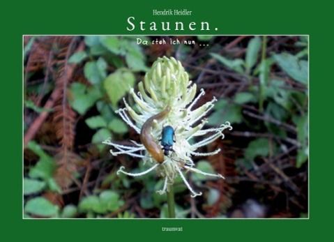 Produktbild: Staunen.