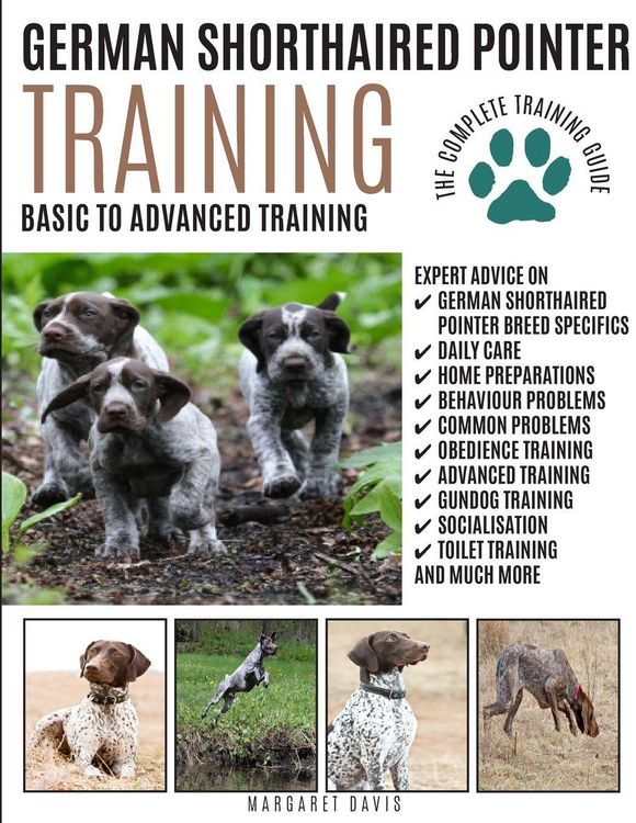 Produktbild: German Shorthaired Pointer Training