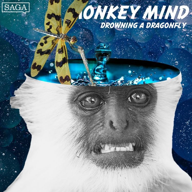 Produktbild: Drowning a Dragonfly