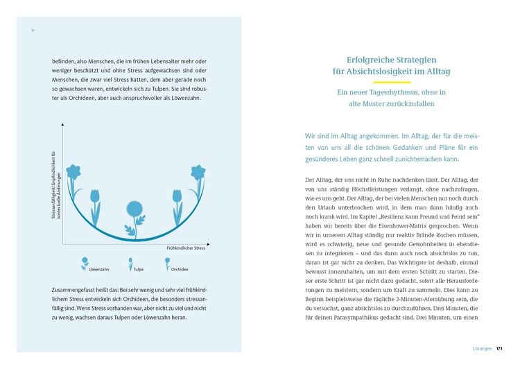 Produktbild: Die Strategie der Absichtslosigkeit
