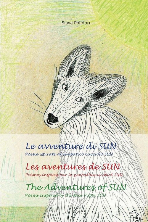 Produktbild: Le avventure di SUN - Les aventures de SUN - The Adventures of SUN