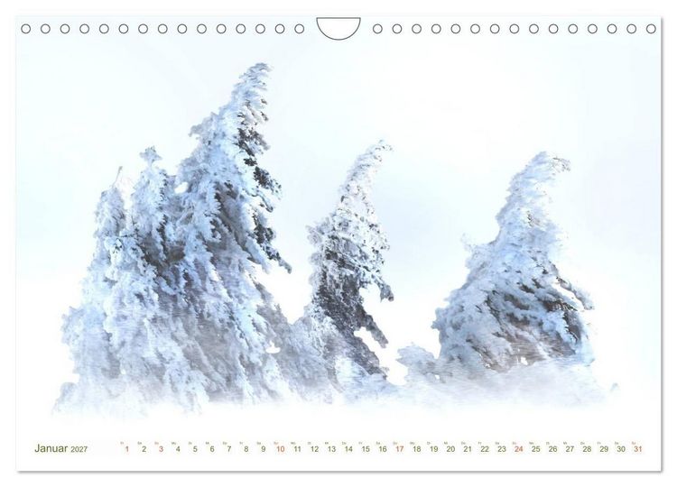 Produktbild: B&Auml;UME - wie gemalt (Wandkalender 2027 DIN A4 quer), CALVENDO Monatskalender