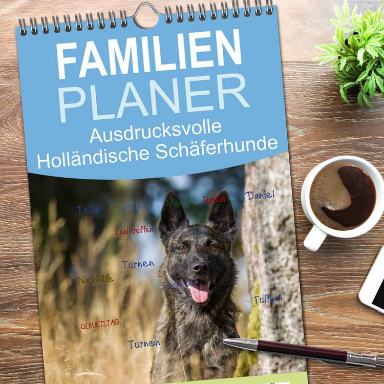 Produktbild: Familienplaner 2026 - ausdrucksvolle Holl&auml;ndische Sch&auml;ferhunde mit 5 Spalten (Wandkalender, 21 x 45 cm) CALVENDO