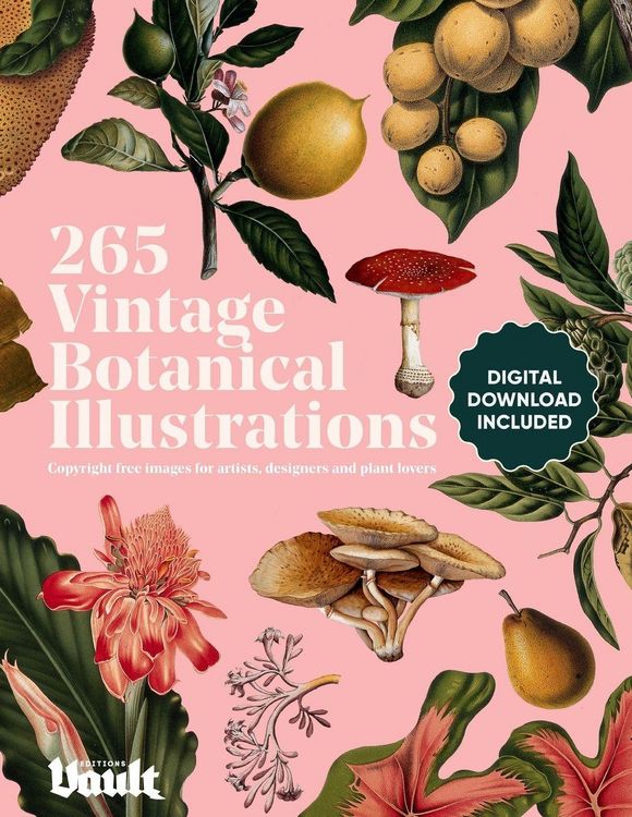 Produktbild: Vintage Botanical Illustration