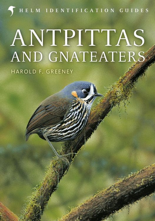 Produktbild: Antpittas and Gnateaters