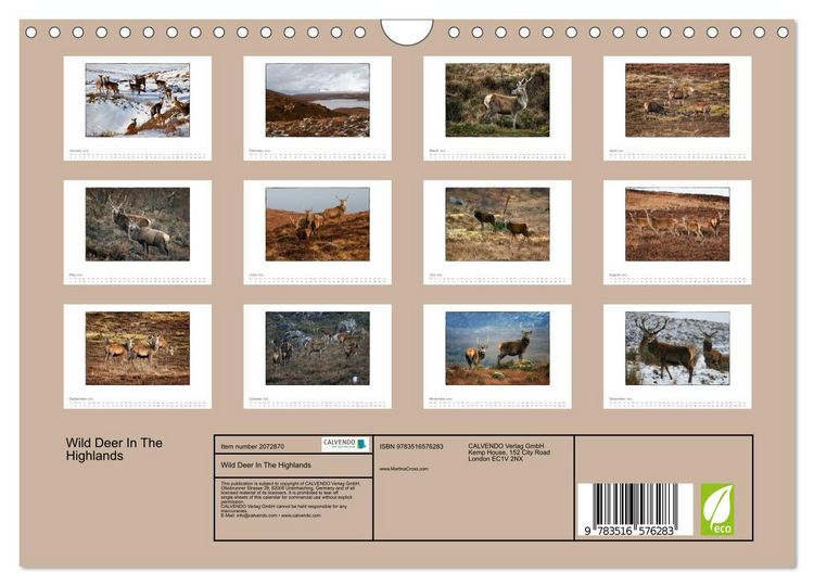 Produktbild: Wild Deer In The Highlands (Wall Calendar 2026 DIN A4 landscape), CALVENDO 12 Month Wall Calendar