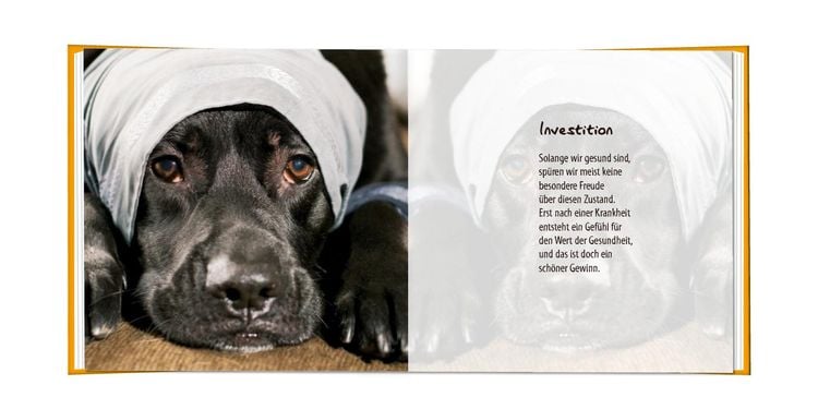 Produktbild: Gute Besserung!