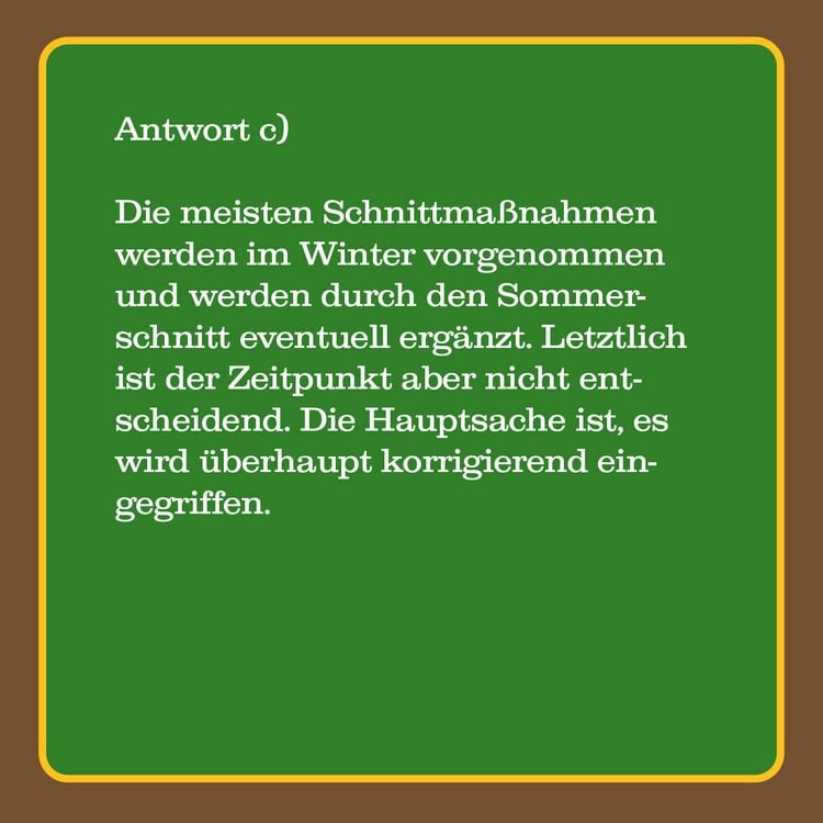 Produktbild: Das Garten-Quiz