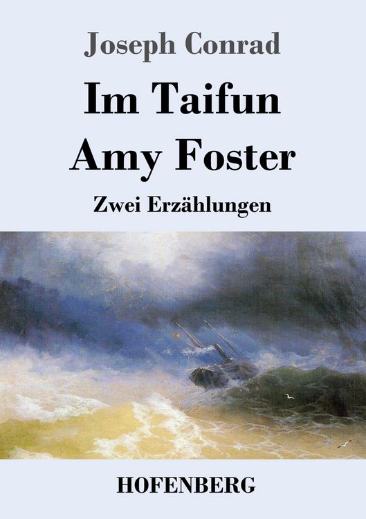 Produktbild: Im Taifun / Amy Foster
