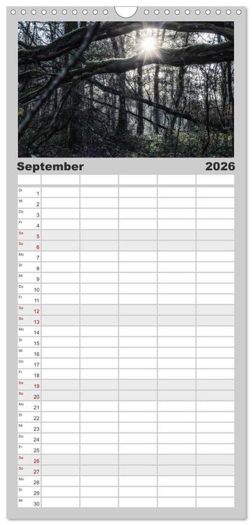Produktbild: Familienplaner 2026 - Mystische W&auml;lder mit 5 Spalten (Wandkalender, 21 x 45 cm) CALVENDO