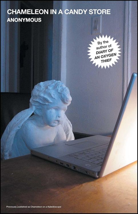 Produktbild: Chameleon in a Candy Store