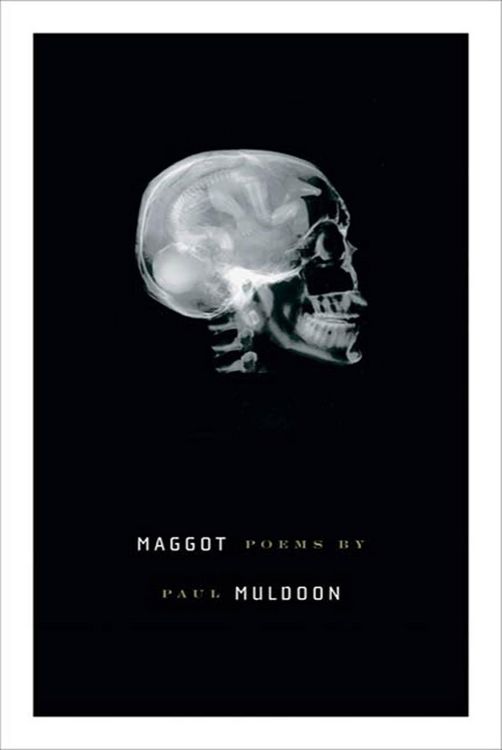 Produktbild: Maggot