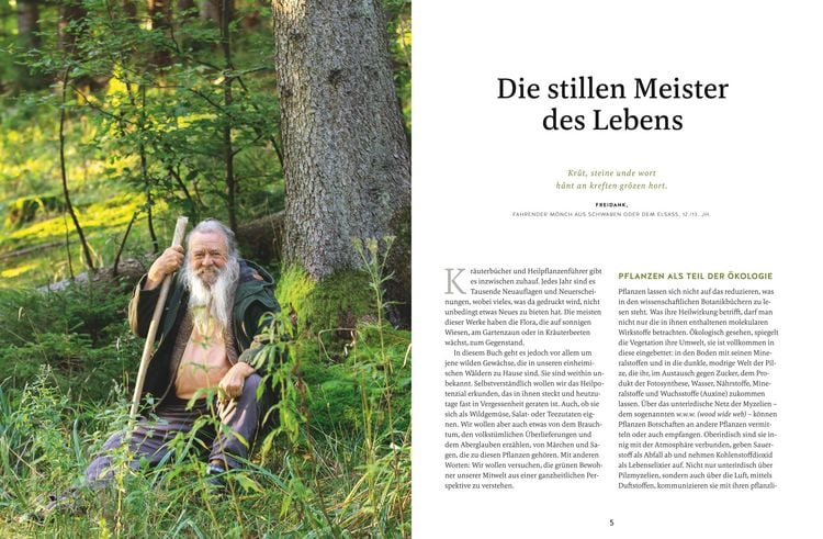 Produktbild: Meine Kr&auml;uter des Waldes