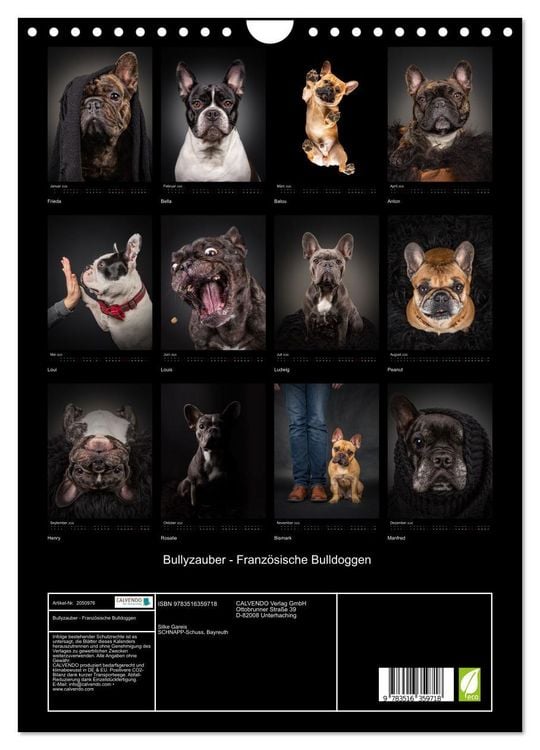 Produktbild: Bullyzauber - Franz&ouml;sische Bulldoggen (Wandkalender 2026 DIN A4 hoch), CALVENDO Monatskalender