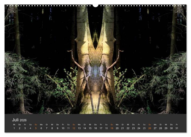 Produktbild: Spiegelwelten - Im Reich der Naturwesen (Wandkalender 2026 DIN A2 quer), CALVENDO Monatskalender