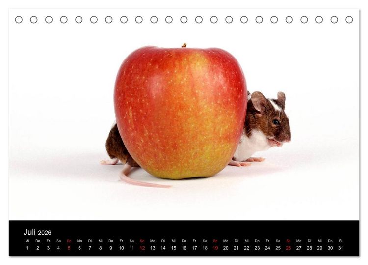 Produktbild: S&uuml;&szlig;e M&auml;use und Coole Ratten (Tischkalender 2026 DIN A5 quer), CALVENDO Monatskalender
