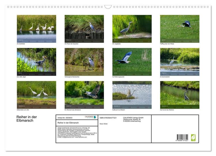 Produktbild: Reiher in der Elbmarsch (Wandkalender 2027 DIN A2 quer), CALVENDO Monatskalender