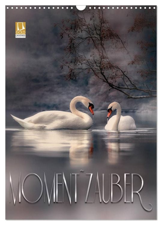 Produktbild: Moment Zauber (Wandkalender 2026 DIN A3 hoch), CALVENDO Monatskalender