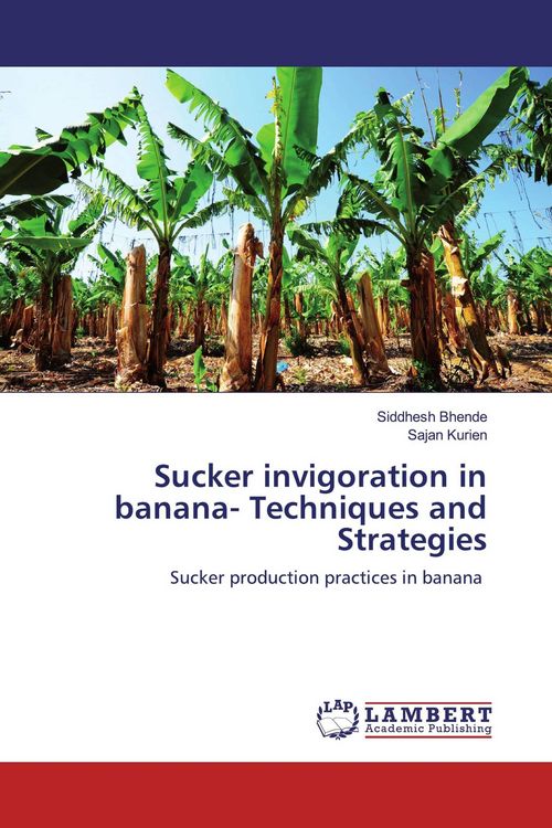 Produktbild: Sucker invigoration in banana- Techniques and Strategies