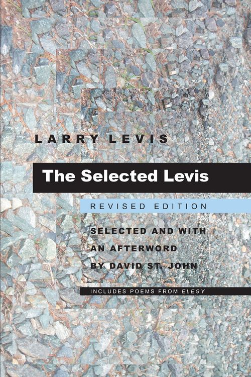 Produktbild: The Selected Levis